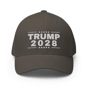 Trump 2028 Rewrite the Rules Hat Flex Fit Trump 48 Hat for Men Women, Embroidery - Picture 1 of 21