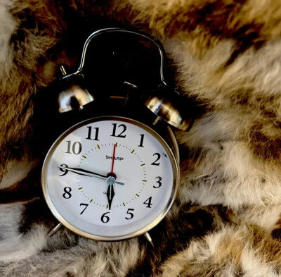 Sharp Alarm Clock Vintage Twin Bell Analog Round Silver - Image 1 of 3