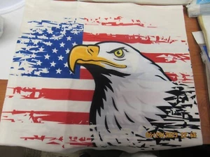 American Eagle Kissen Schein - Bild 1 von 4