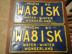 Set Targa Auto Michigan 1965 Vintage Decorazione Collezionisti - Foto 1 di 4