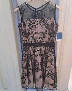 NEU Gabby Skye Größe 6 Small schwarz Spitze kurz Cocktail formelles Kleid 40" $ 108 - Bild 1 von 9