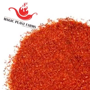 Roter Jalapeno Pfeffer Pulver- 1kg / 2,2lb | 100% rein fein gemahlen Red Chili Bulk - Bild 1 von 2