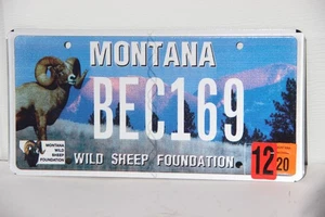Montana Specialty License Plate Wild Sheep Foundation - hard to find - Picture 1 of 3