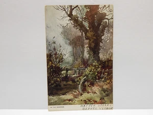 Cartolina Nei Prati 1905 - Foto 1 di 2