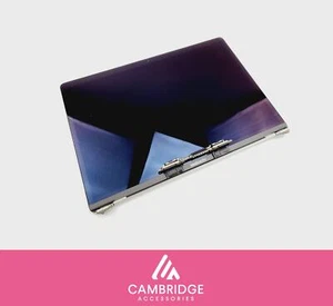 Poor MacBook Pro 15" A1990 LCD Screen Display Assembly EMC 3215 3359 Silver - Afbeelding 1 van 6