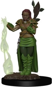 Wizkids Icons of the Realms: Premium Miniatures - Human Female Druid WZK93009 - Picture 1 of 1