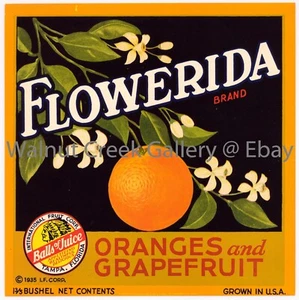 Florida Fruit Crate Label Fine Art Print, Flower, approx 10.8" x 10.8" 12913 - Picture 1 of 1
