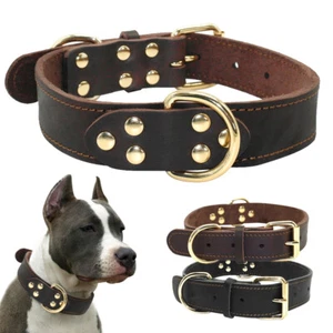 Hundehalsband Echt Leder Hunde Halsband für mittelgroße Hunde Schwarz Braun M-XL - Bild 1 von 13
