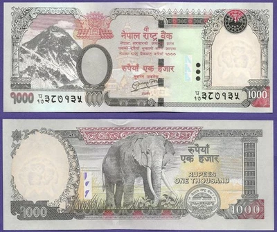 Billete NEPAL 1000 Rupias P68 UNC pero hendidura en el centro superior del billete Elefante Foto 1 de 3