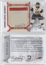 2013 ITG Heroes and Prospects Game-Used Silver Jersey /30 Anthony Duclair #M-26