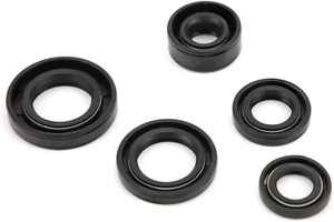 Engine Oil Seal Set Kit Lifan 110cc 125cc 140cc Pit Pro Trail Quad Dirt Bike Atv - Picture 1 of 13