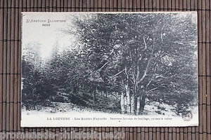 Alte Postkarte LA LOUVESC Les Quatre Fayards - Bild 1 von 1