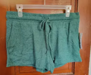 NWT Joyspun Women's M 8/10 Green Hacci Pajama Shorts - Picture 1 of 5