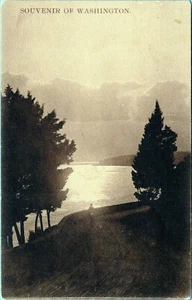 Postal de recuerdo de Washington sin publicar   - Imagen 1 de 2