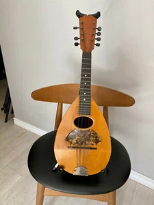 Imperial Warranted Bowl back Mandolin from the 1800's - Picture 1 of 10