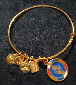 Alex and Ani USA Olympic Torch Shiny Gold Bracelet Bangle Charm 2015 Olympics - Picture 1 of 3