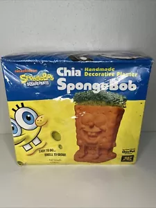 Jardinera decorativa hecha a mano con pantalones cuadrados Bob Esponja Chia Pet - Imagen 1 de 3