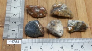 LOT AGATE DENDRITE pierre roulée mineraux lithotherapie collection reiki - Picture 1 of 1