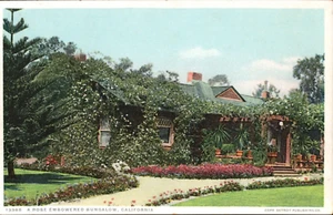 A Rose Embowered Bungalow, California Detroit Publishing Postcard - Picture 1 of 2