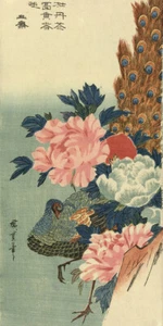 Peacock and Peony Roses by Utagawa Hiroshige Japanese Woodblock - Bild 1 von 7