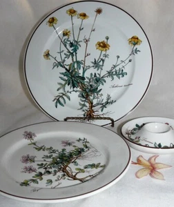 Villeroy und Boch V&B BOTANICA Pflanzen Vitro Porcelaine - Teile zur Wahl - Picture 1 of 35