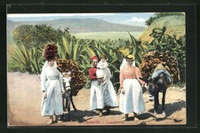 AK Tenerife, Campesinos, Bäuerinnen mit Packeseln 