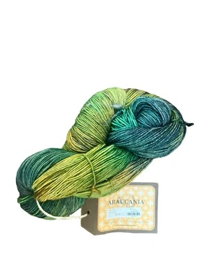 Araucania Huasco DK Extrafine Merino Wool Yarn - Image 1 of 2