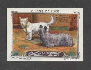 Tarjeta de arte para perro Nestlé Cailler Kohler 1931 West Highland White Skye Terrier Dog - Imagen 1 de 1