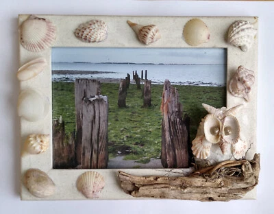  Marco con búho encaramado en madera a la deriva y conchas marinas Sanibel Foto 1 de 3