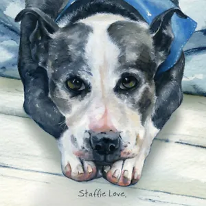 Staffie Love Little Dog Laughed Greeting Card Blank Inside - Picture 1 of 1