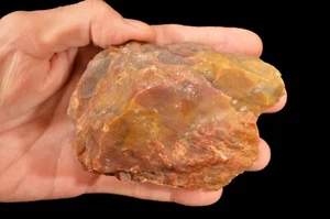 REGENBOGEN VERSTEINERTES HOLZ 4 1/2" 1 Pfund 4 Unzen Lapidar grobes Rohgestein Mineral Probe - Bild 1 von 1