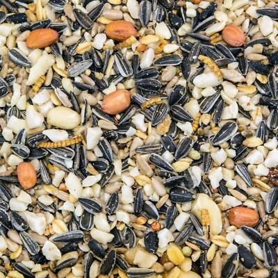 Vogelfutter Wildvogelfutter Expertenmischung fettreich Premium von Paul's Mühle - Bild 1 von 3