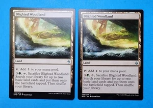 2x Blighted Woodland Battle for Zendikar 2015 Mtg Magic Colorless Land Mana 233 - Picture 1 of 2