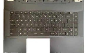 957-15411E-C20 MSI Palmrest With Keyboard Assembly For GE66 Raider 10SFS-048US - Picture 1 of 3