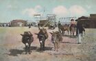 Donkey Animals Vintage Antique Old Cpa Postcard #Paa349.T