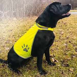 Lätzchen Weste Hoch Warnschutz für Hunde Safety Vest For Sicherheit Behaarte L - Bild 1 von 2