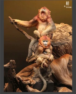 Manas Studio 竹内信善 Snub-Nosed Monkey Limited Animal Statue Resin Painted Model - Picture 1 of 13