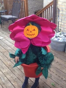 CHASING FIREFLIES SZ 4 FLOWER POT POTTED PLANT COSTUME 3 PC 3D POT/FLOWER/PANTS - Picture 1 of 5