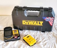 Dewalt 20v max Lithium Ion Battery (2) / Charger (DCB112) with Case