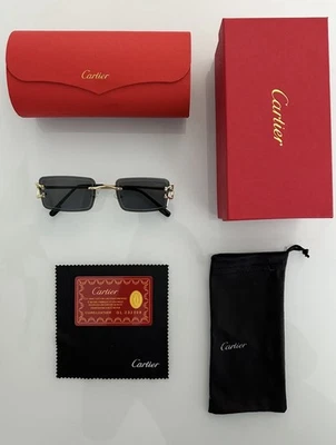 Gafas de sol Cartier clásicas negras sin marco *ENVÍO EL MISMO DÍA* Foto 1 de 4