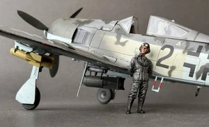 Ultimate Soldier 1:32 WWII German Focke-Wulf Fw 190F-8 21st Century Toys 2007 S3 - Picture 1 of 24