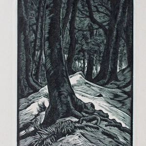 Karl Hennemann Wald Bäume Holzschnitt Japan 1951 signiert Handdruck Passepartout - Bild 1 von 4
