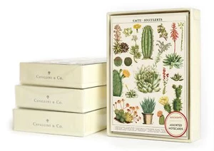 Cavallini - 8 Notecards - 4 Designs/2 Per Design - Cactus/Cacti/Succulents - Picture 1 of 7