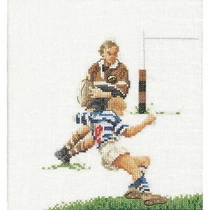 Cross-stitch kit Rugby 3037A thea gouverneur Aida - Picture 1 of 10