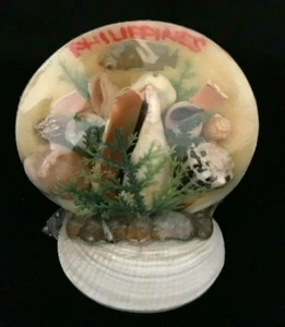 Vintage Philippines Shell Souvenir - Fish - Sealed - Picture 1 of 7