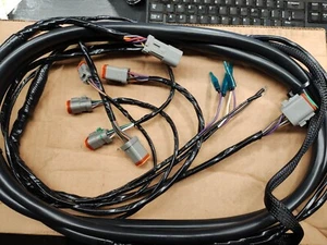 176339 Arnés de cableado EVINRUDE JOHNSON OMC 12 FT - Imagen 1 de 2