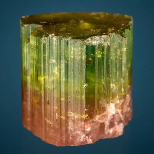Mina del Himalaya Elbaite, Condado de San Diego, California Harris colección 1807-C36 - Imagen 1 de 5