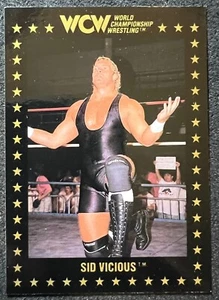 1991 CHAMPIONSHIP MARKET INC SID VICIOUS #19 NM/MT - Picture 1 of 2