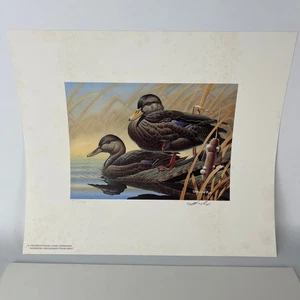 Pennsylvania Waterfowl Management Stamp Print Black Ducks 1996 #2235 - Picture 1 of 4