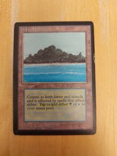 Tropical Island-Dual Land MTG Magic Beta Edition-played